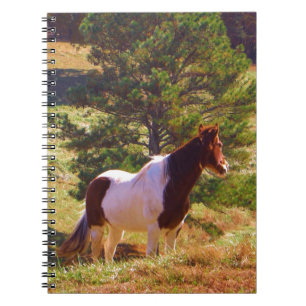 Caderno Espiral Pôneo Pintado pelo Pinho