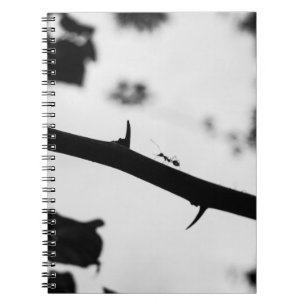 Caderno Espiral Ponta