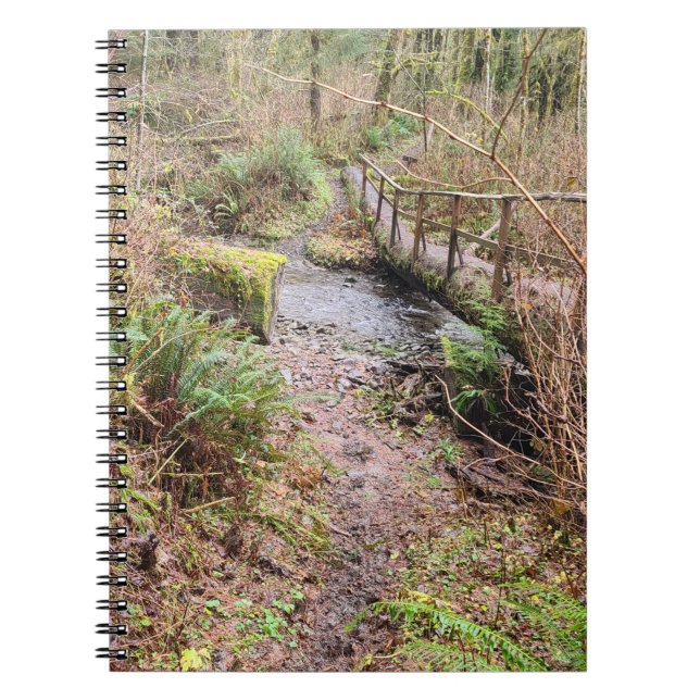 Caderno Espiral Ponte de Log (Frente)