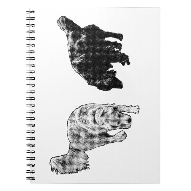 Caderno Espiral Pontos de café — Retriever Duo (Frente)