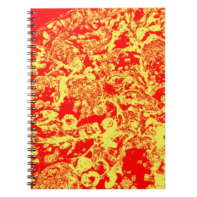 Caderno Espiral Pop de pizza (Frente)