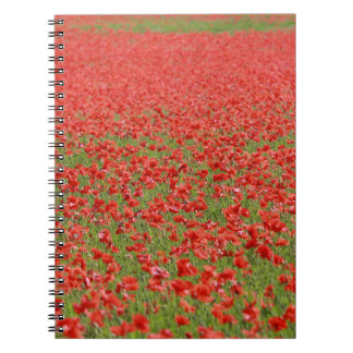 Caderno Espiral Poppies - milhares!