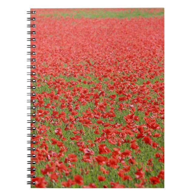 Caderno Espiral Poppies - milhares! (Frente)