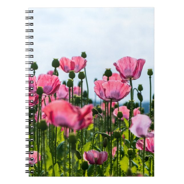 Caderno Espiral Poppies Rosa (Frente)