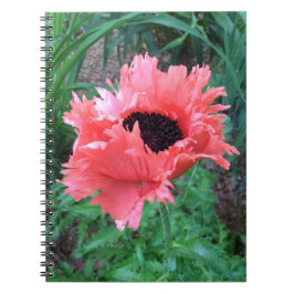 Caderno Espiral POPPY "Pink Ruffles" —