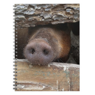 Caderno Espiral Porco Marrom com Nariz através da cerca russa