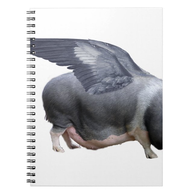 Caderno Espiral porco voador (Frente)