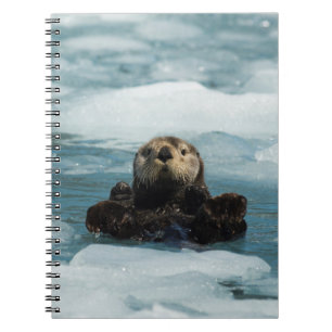 Caderno Espiral Porta flutuante