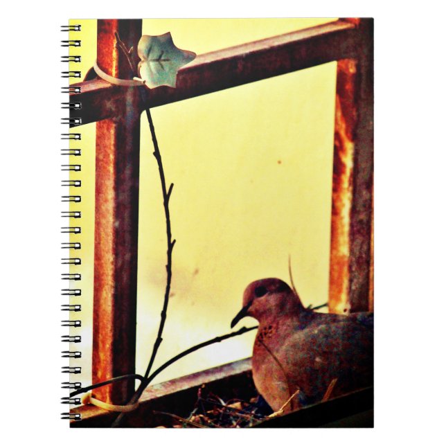 Caderno Espiral Porta Inocente (Frente)