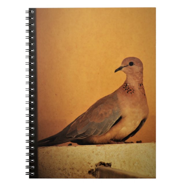 Caderno Espiral Posicionamento Paciente (Frente)