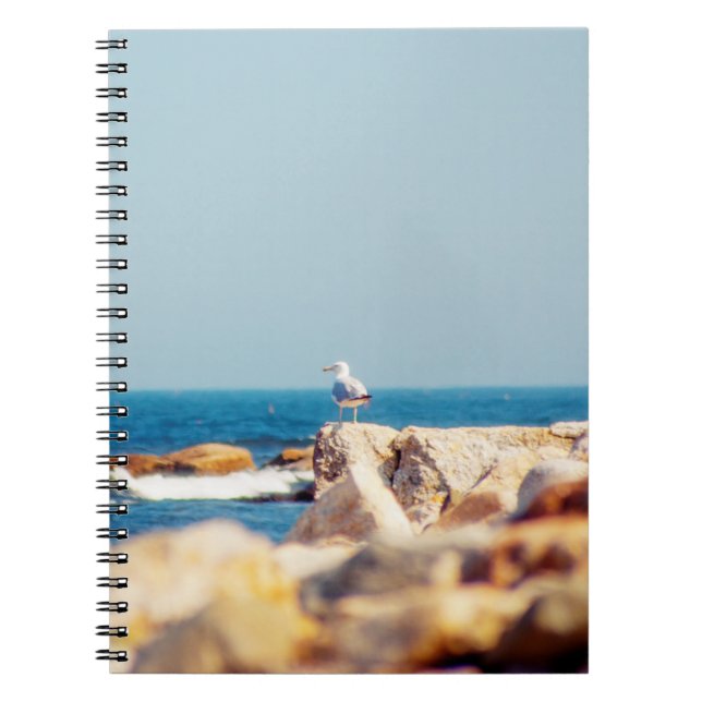Caderno Espiral Posto de Gull (Frente)