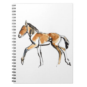 Caderno Espiral Potro