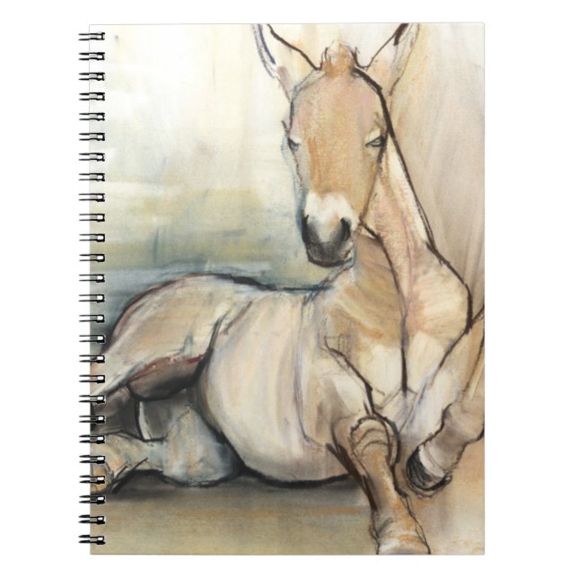 Caderno Espiral Potro 2012 (Frente)