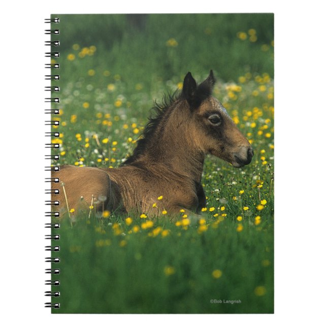 Caderno Espiral Potro que estabelece nas flores (Frente)