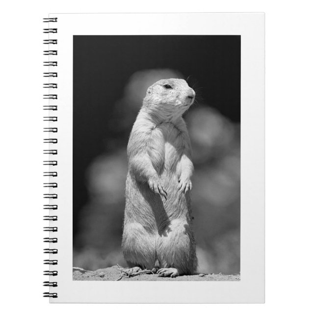 Caderno Espiral Pradaria Dog#1-Notebook (Frente)
