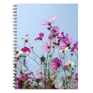 Caderno Espiral Prado cor-de-rosa