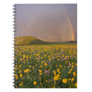 Caderno Espiral Prado de flores silvestres espetacular ao nascer d