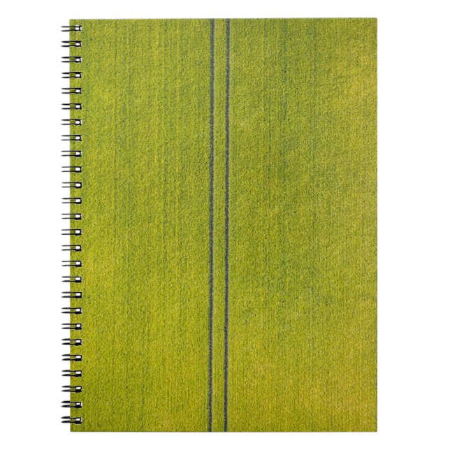 Caderno Espiral Prado verde (Frente)