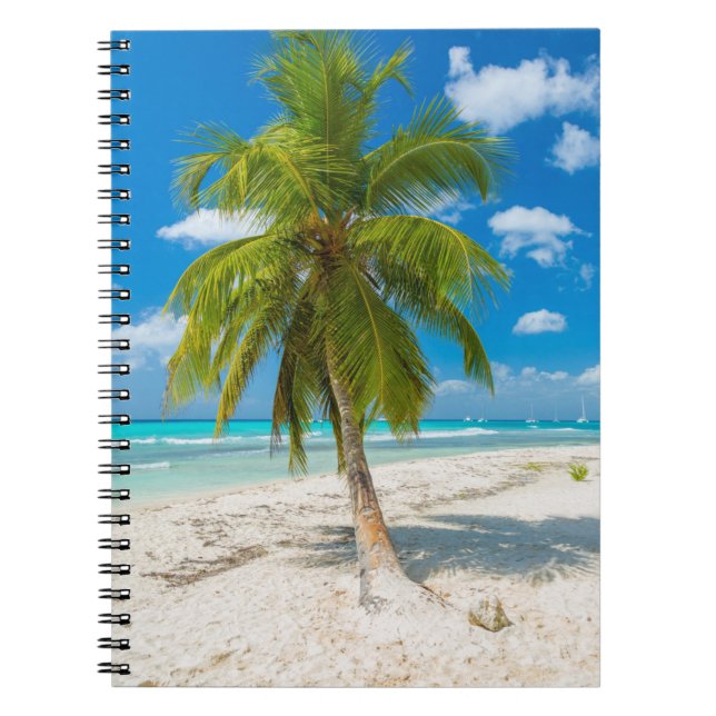 Caderno Espiral Praia arenosa com palmeira tropical (Frente)