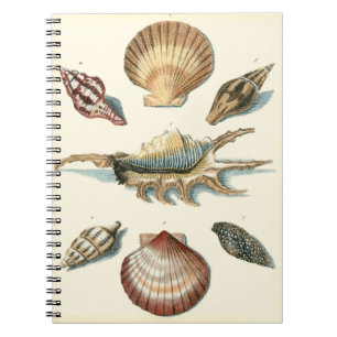 Caderno Espiral Praia da Shell Rico