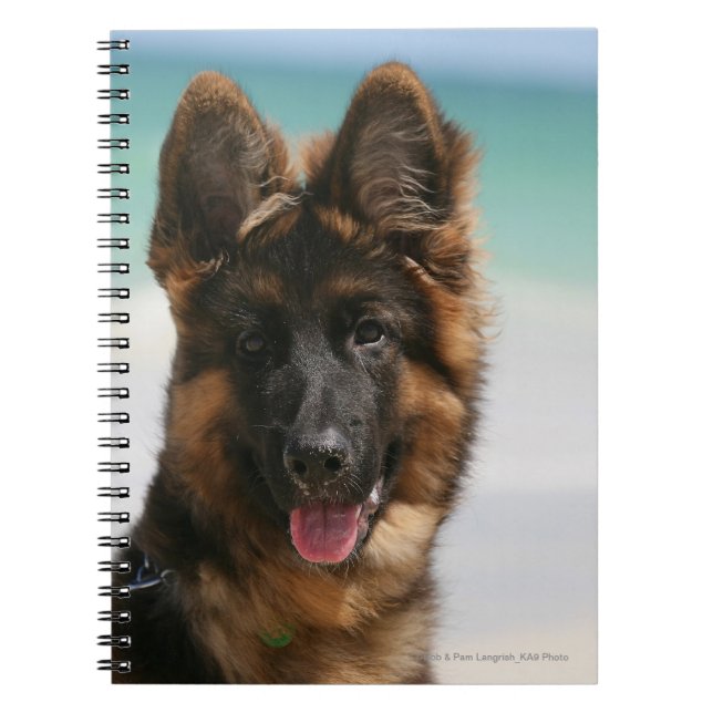 Caderno Espiral Praia de cabelos compridos do german shepherd (Frente)