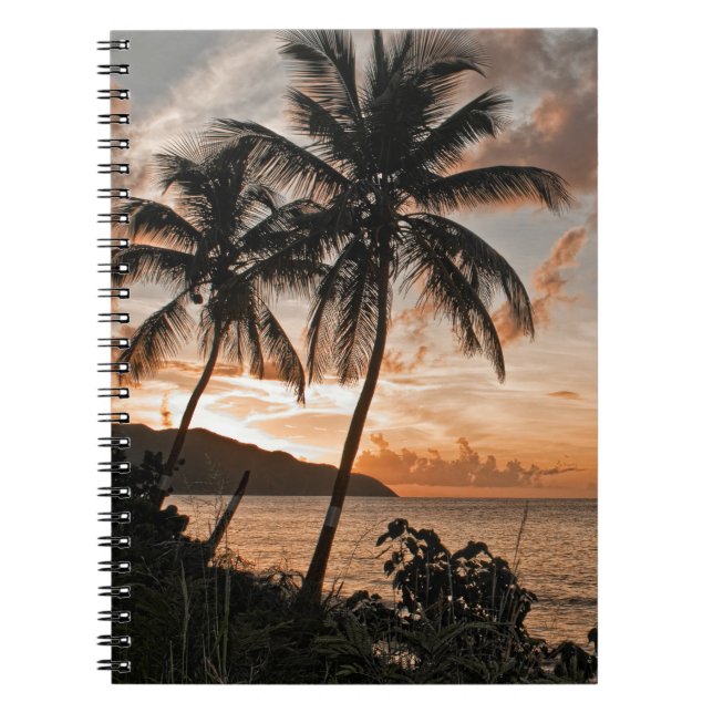 Caderno Espiral Praia Tropical de Palmeiras de Praia Sunset (Frente)