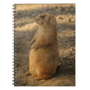 Caderno Espiral Prairie Dog Notebook