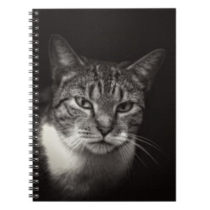 CADERNO ESPIRAL PRATA TABBY CAT