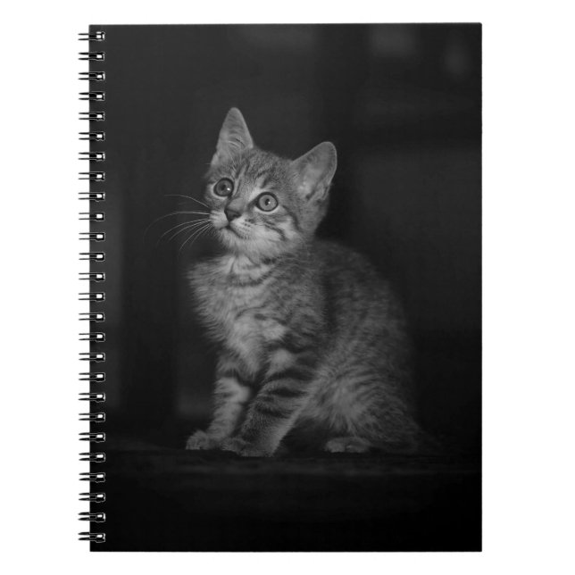 Caderno Espiral Precioso Kitten (Frente)