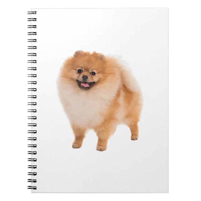 Caderno Espiral Presente de cachorro da Pomerânia (Frente)