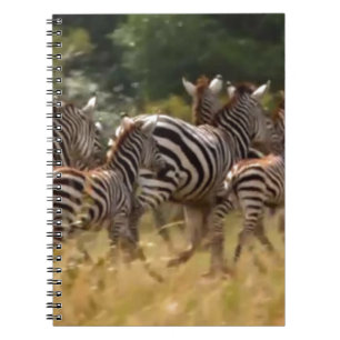Caderno Espiral Presente de hakuna matata, legal de zebra africana