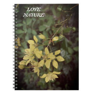 CADERNO ESPIRAL PRESENTE PARA AMOR NATURAL COM FLORES