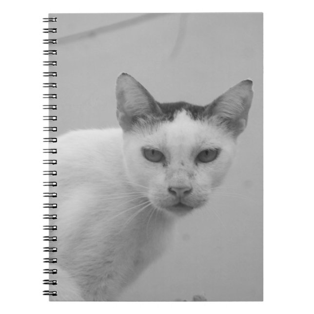 Caderno Espiral Preto e Branco - Cat 02 (Frente)