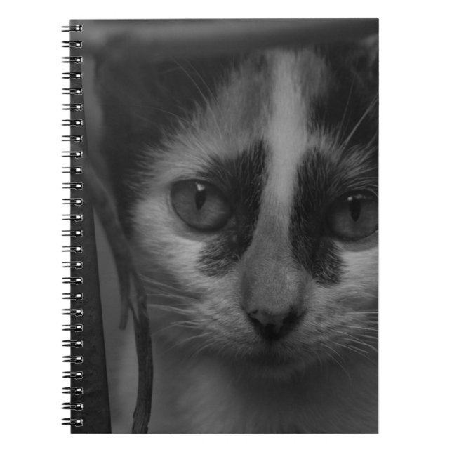 Caderno Espiral Preto e branco - Gatinho 02 (Frente)