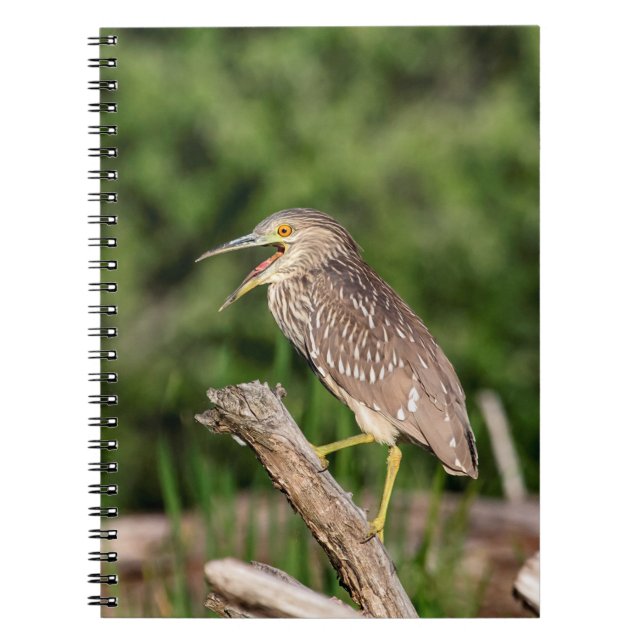 Caderno Espiral Preto juvenil garça-real de noite coroada (Frente)