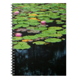 Caderno Espiral preto no lótus rosa
