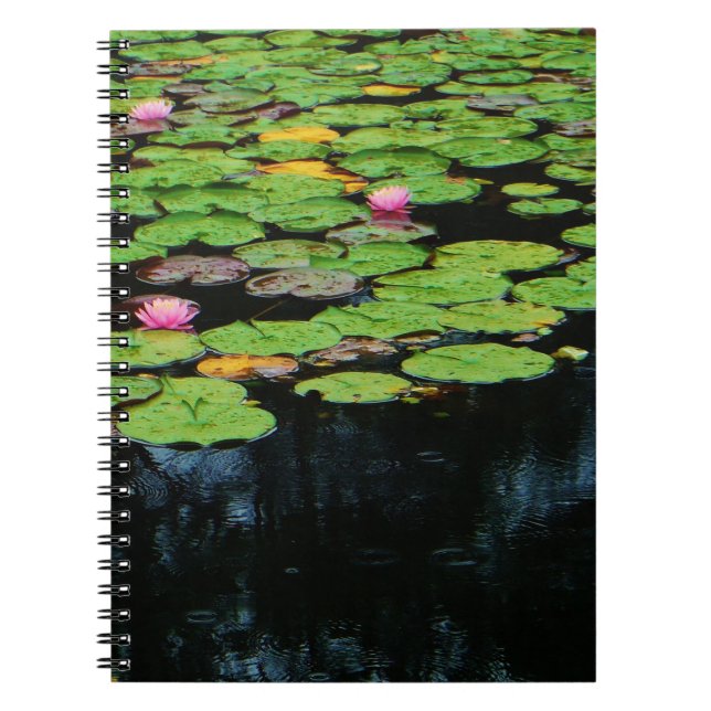 Caderno Espiral preto no lótus rosa (Frente)