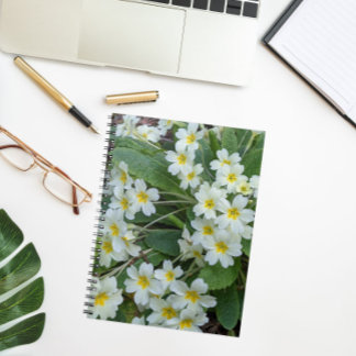 Caderno Espiral Primatas brancas com centrais amarelas