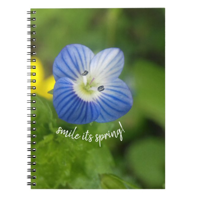 Caderno Espiral primavera azul - notebook (Frente)