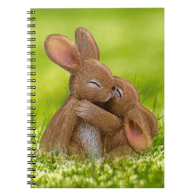 Caderno Espiral Primavera Bunny Lovers (Frente)