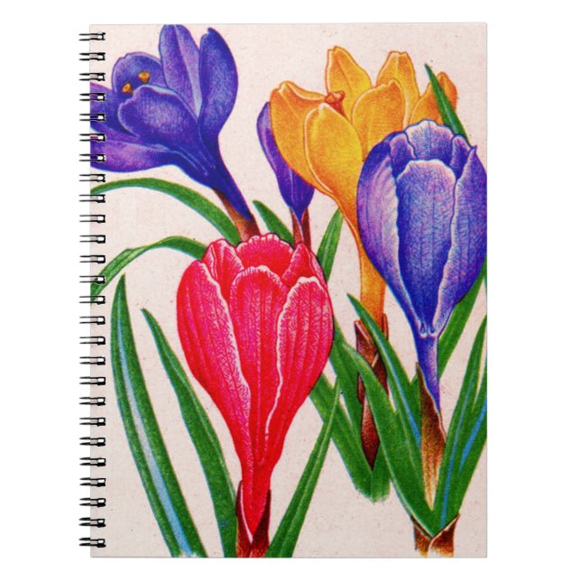 Caderno Espiral primavera crocus (Frente)