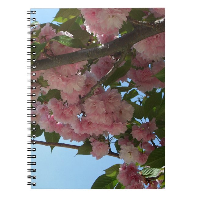 Caderno Espiral Primavera da Árvore IV de Blossomas Duplas (Frente)