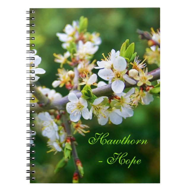 Caderno Espiral Primavera Hawthorn Dappelida do Sol (Frente)