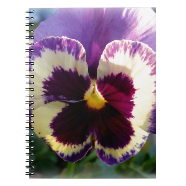 Caderno Espiral primavera Pansy colorido (Frente)