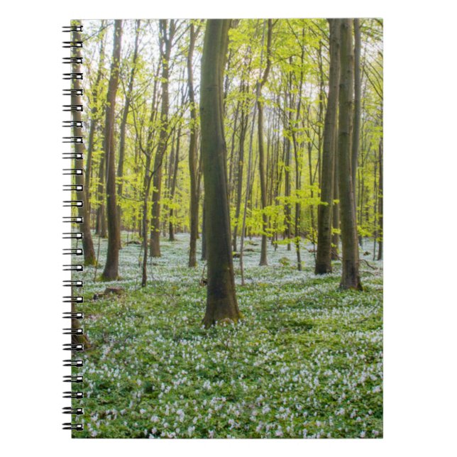 Caderno Espiral Primavera para a vida (Frente)