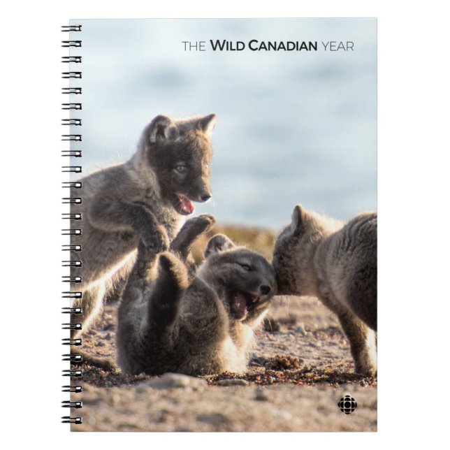 Caderno Espiral Primavera - Raposa Árctica (Frente)