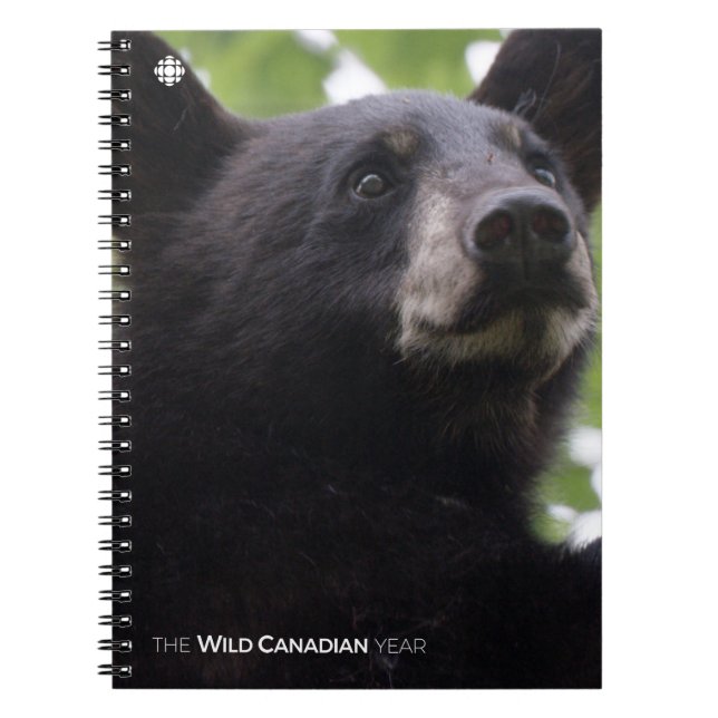 Caderno Espiral Primavera - Urso Preto (Frente)