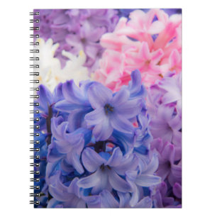 Caderno Espiral Primeira-plano de planta de Jacinto