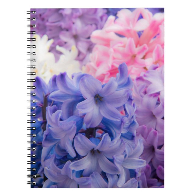 Caderno Espiral Primeira-plano de planta de Jacinto (Frente)