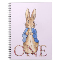 primeiro aniversário do Peter Rabbit